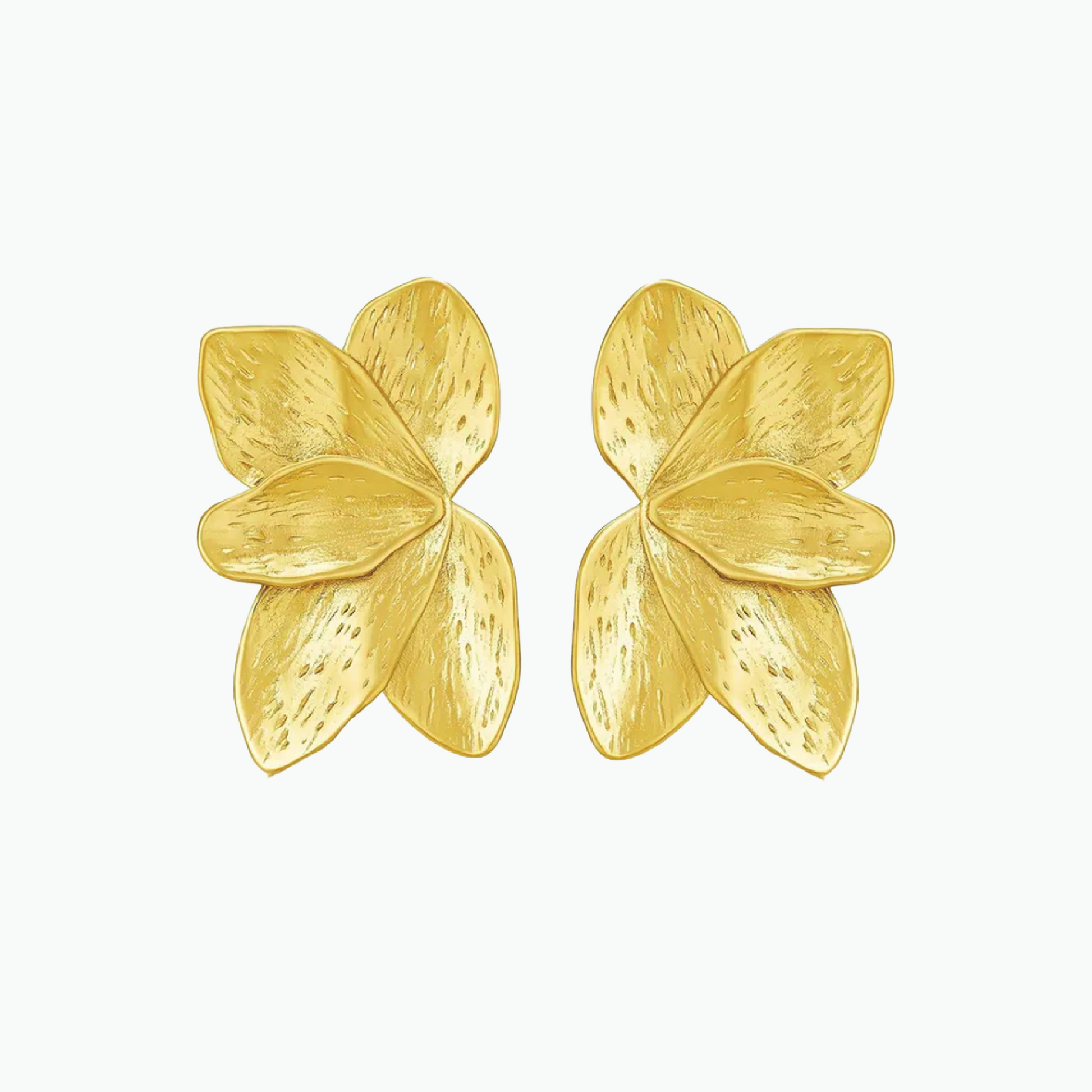 ISADORA STUDS